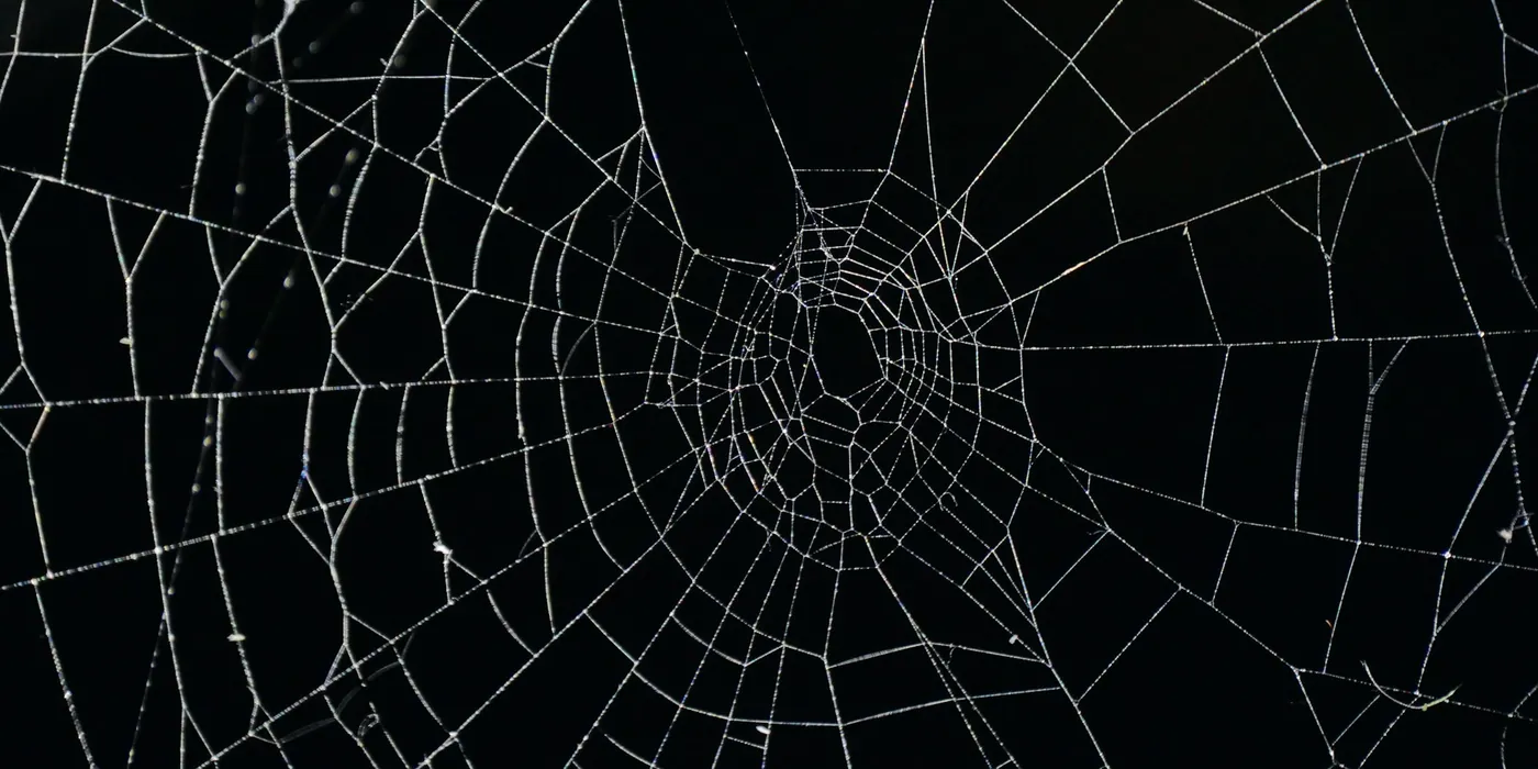 Toile d'araignée couverte de rosée, brillante sur fond noir